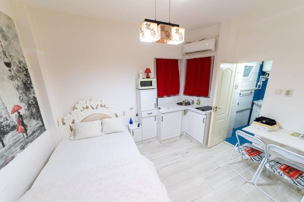 Cozybucharest Studio מראה חיצוני תמונה